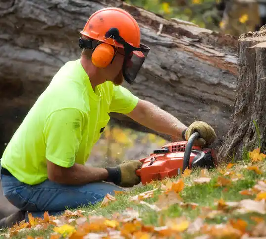 tree services Star Lake